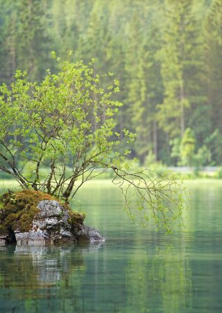 azellus bureau d'étude eau environnement dordogne impact